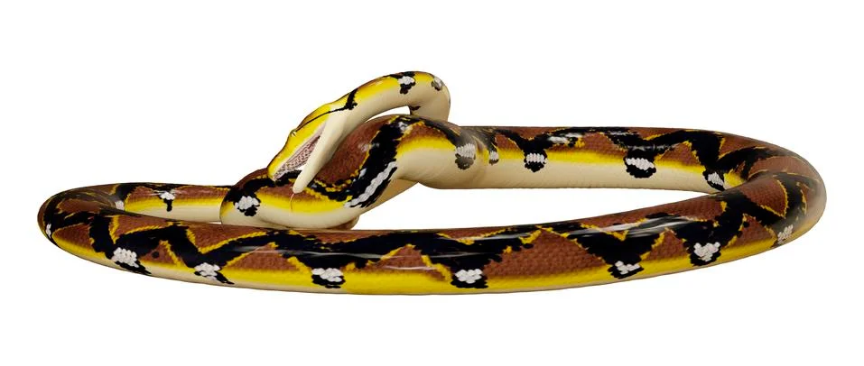 3D Rendering Reticulated Python on White Stock Illustration