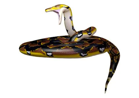 3D Rendering Reticulated Python on White Stock Illustration