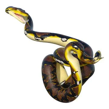3D Rendering Reticulated Python on White Stock Illustration