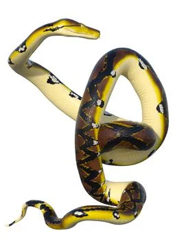 3D Rendering Reticulated Python on White Stock Illustration