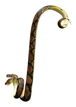 3D Rendering Reticulated Python on White Illustration
