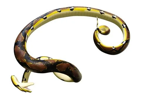 3D Rendering Reticulated Python on White Illustration