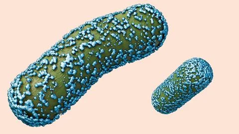 A 3d rendering of rod-shaped bacteria encrusted with surface mineral deposits. Stock-Illustration