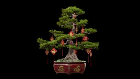 3D rendering rotates around the loop of the bonsai tree. Stock Footage 301735796