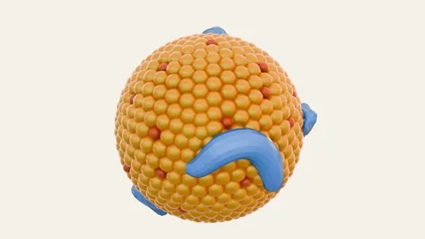 3d rendering of rotating chylomicron particle Video stock 299895344