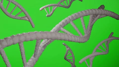 3D Rendering of rotating DNA on green sc... | Stock Video | Pond5