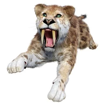 3D Rendering Saber Toothed Tiger on White Illustration