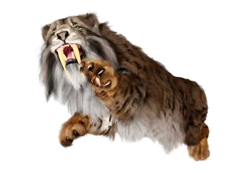 3D Rendering Sabertooth Tiger on White Stock Illustration