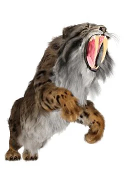 3D Rendering Sabertooth Tiger on White Stock Illustration