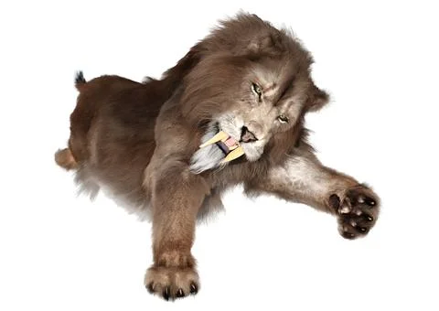 3D Rendering Sabertooth Tiger on White Stock Illustration