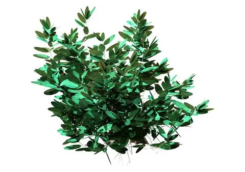 3D Rendering Sage Plant on White Stock Illustration