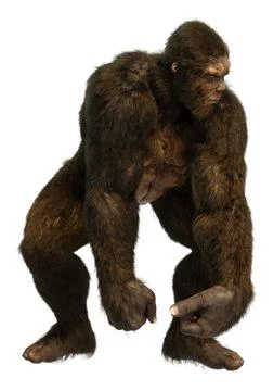 3D Rendering Sasquatch on White Stock Illustration
