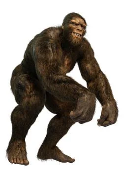 3D Rendering Sasquatch on White Stock Illustration