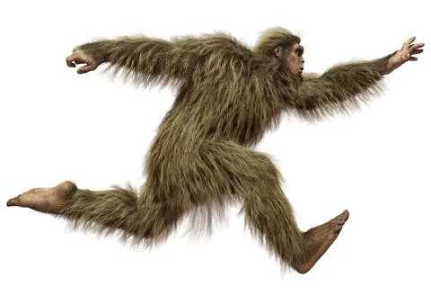 3D Rendering Sasquatch on White Stock Illustration