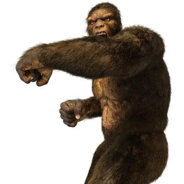 3D Rendering Sasquatch on White Stock Illustration