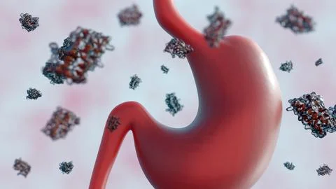A 3d rendering of scattered leptin molecules and human stomach. Stock Illustration