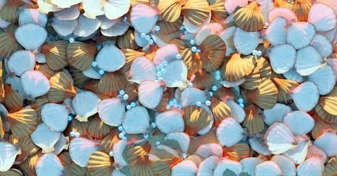 3d rendering. Scattered open sea clams and pearls scattered in the sunlight. Stock Illustration