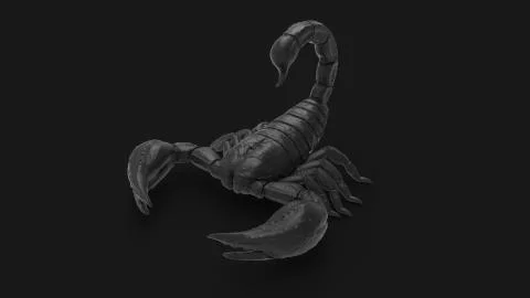 3d rendering of a scorpion isolated in a studio colored background Stock Illustration