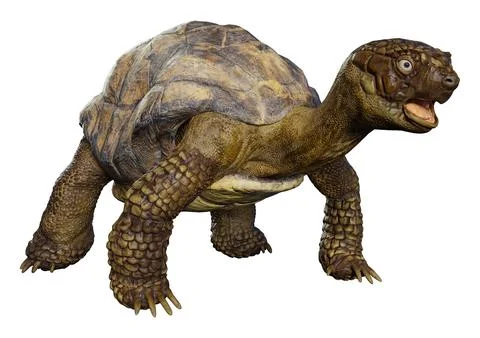 3D Rendering Sea Turtle on White Illustrazione stock
