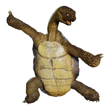 3D Rendering Sea Turtle on White Stock Illustration