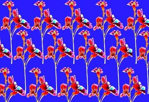 A 3D rendering seamless pattern with beautiful red flowers Stock-Illustration