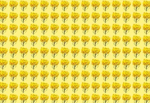 3D rendering seamless pattern with beautiful yellow mustard flowers Stock-Illustration