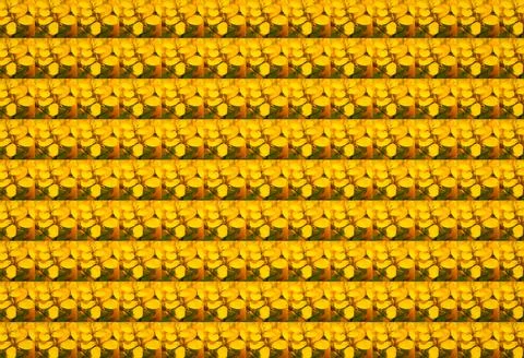 3D rendering seamless pattern with beautiful mustard flower petals Stock-Illustration