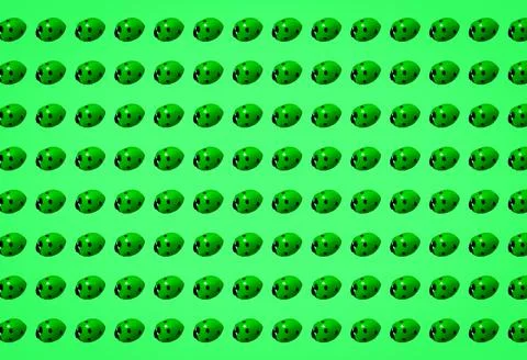 3D rendering set of green and black ladybug Ilustração Stock
