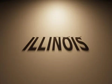 A 3D Rendering of the Shadow of an upside down text that reads Illinois. Stock Illustration