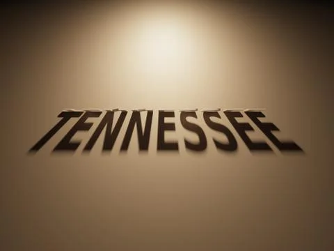 A 3D Rendering of the Shadow of an upside down text that reads Tennessee. Stock Illustration