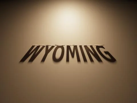 A 3D Rendering of the Shadow of an upside down text that reads Wyoming. Stock Illustration