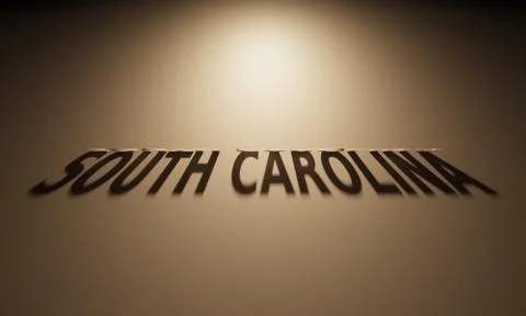A 3D Rendering of the Shadow of an upside down text that reads South Carolina Stock Illustration