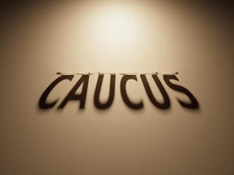 A 3D Rendering of the Shadow of an upside down text that reads Caucus Stock Illustration