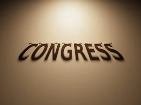 A 3D Rendering of the Shadow of an upside down text that reads Congress. Stock Illustration
