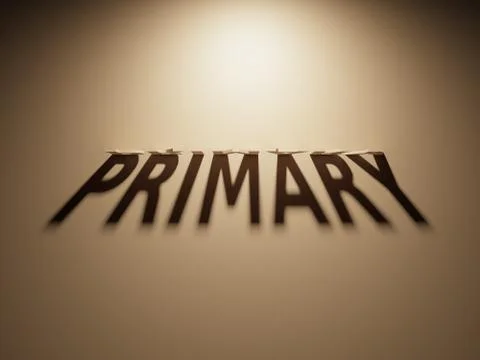 A 3D Rendering of the Shadow of an upside down text that reads Primary. Stock Illustration