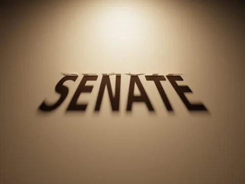 A 3D Rendering of the Shadow of an upside down text that reads Senate. Stock Illustration