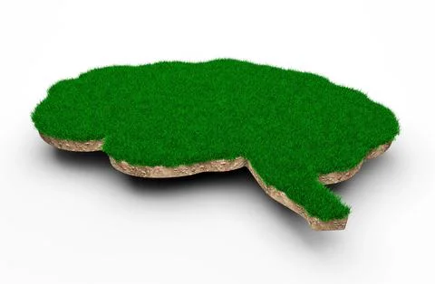 3D rendering of the shape of a brain made of green grass Stock Illustration