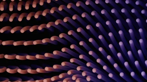 3D rendering shows patterns and shapes in rhythmic motion Stock Footage 332420250