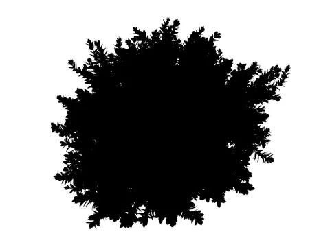 3d rendering of a silhouette tree isolated on white background Stock Illustration