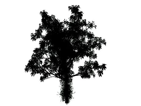3d rendering of a silhouette tree isolated on white background Stock Illustration