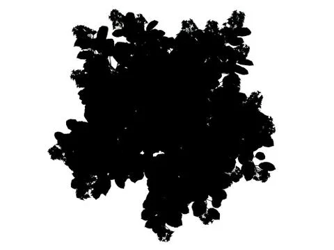 3d rendering of a silhouette tree isolated on white background Stock Illustration