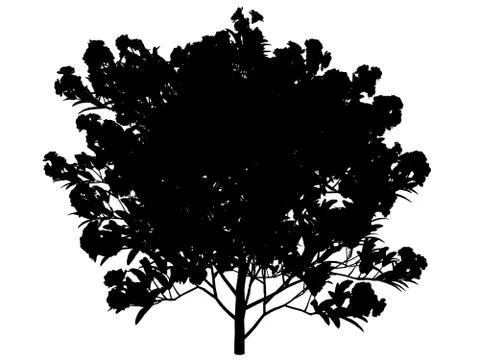 3d rendering of a silhouette tree isolated on white background Stock Illustration