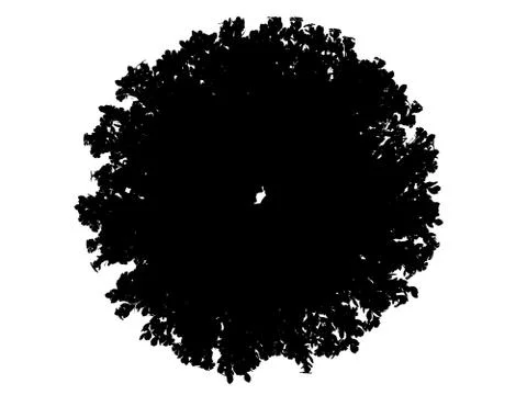 3d rendering of a silhouette tree isolated on white background Stock Illustration