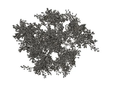 3d rendering of a silver tree isolated on a white background Illustrazione stock