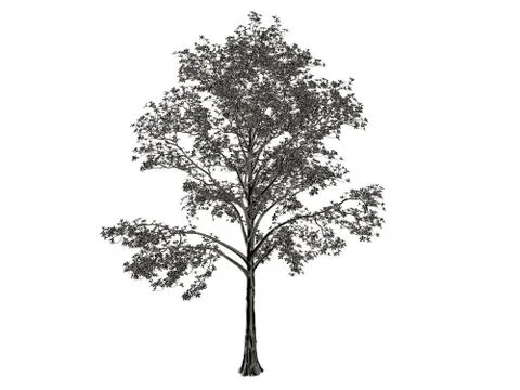 3d rendering of a silver tree isolated on a white background Stockillustratie
