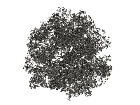 3d rendering of a silver tree isolated on a white background Stock Illustration