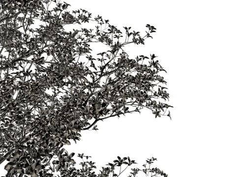 3d rendering of a silver tree isolated on a white background Stock Illustration