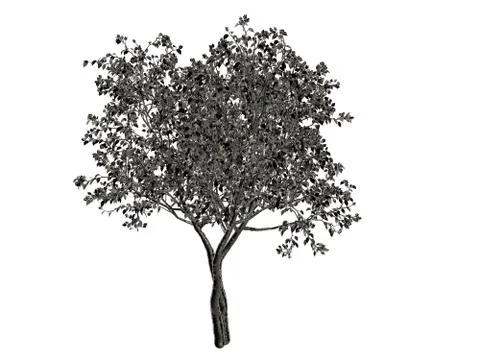 3d rendering of a silver tree isolated on a white background Illustrazione stock