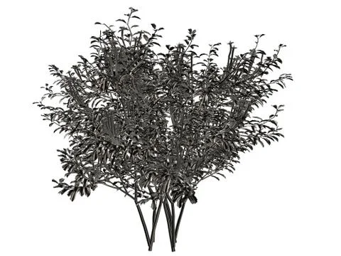 3d rendering of a silver tree isolated on a white background Stock Illustration