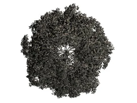 3d rendering of a silver tree isolated on a white background Stock Illustration